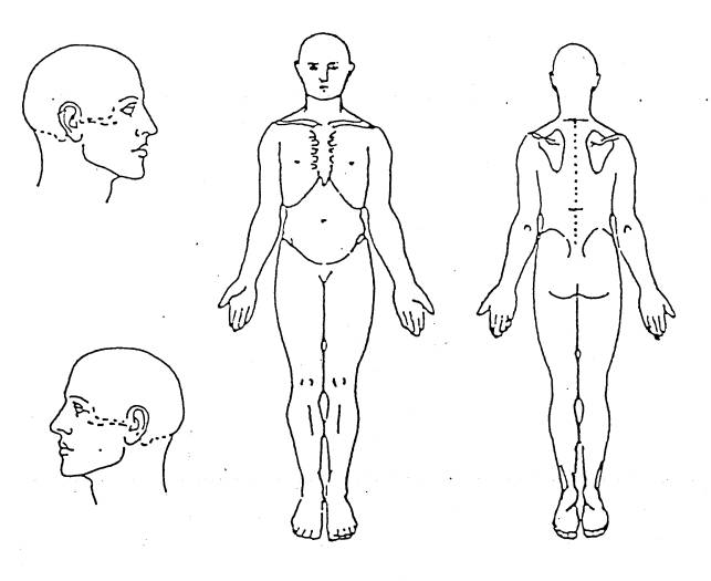 Medical Chart Body Outline