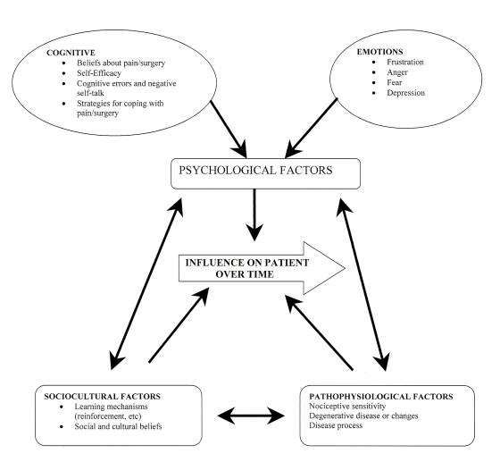 biopsychosocial model image