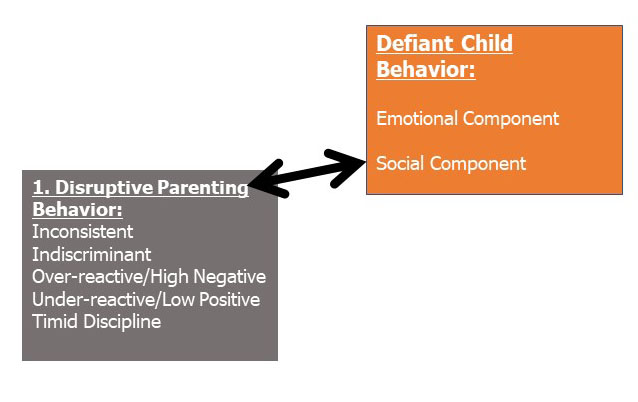 Oppositional Defiant Disorder Behavior Chart