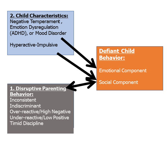 ADHD in Adults: Nature, Diagnosis, Impairments, and Long-Term Management -  by Russell A. Barkley, Ph.D., ABPP