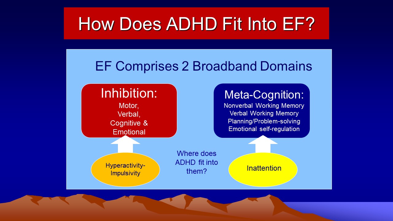 ADHD in Adults: Nature, Diagnosis, Impairments, and Long-Term Management -  by Russell A. Barkley, Ph.D., ABPP