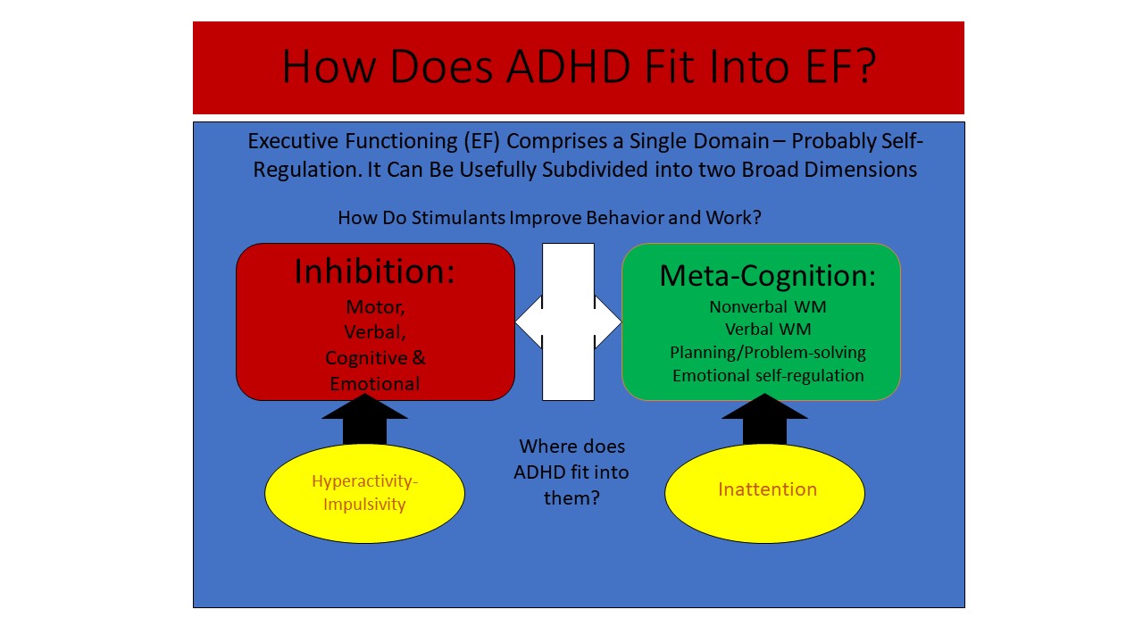ADHD in Adults: Nature, Diagnosis, Impairments, and Long-Term Management - by Russell A. Barkley, Ph.D., ABPP